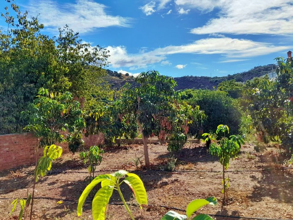 Helårsgrund i Benamargosa, Malaga - foto 1